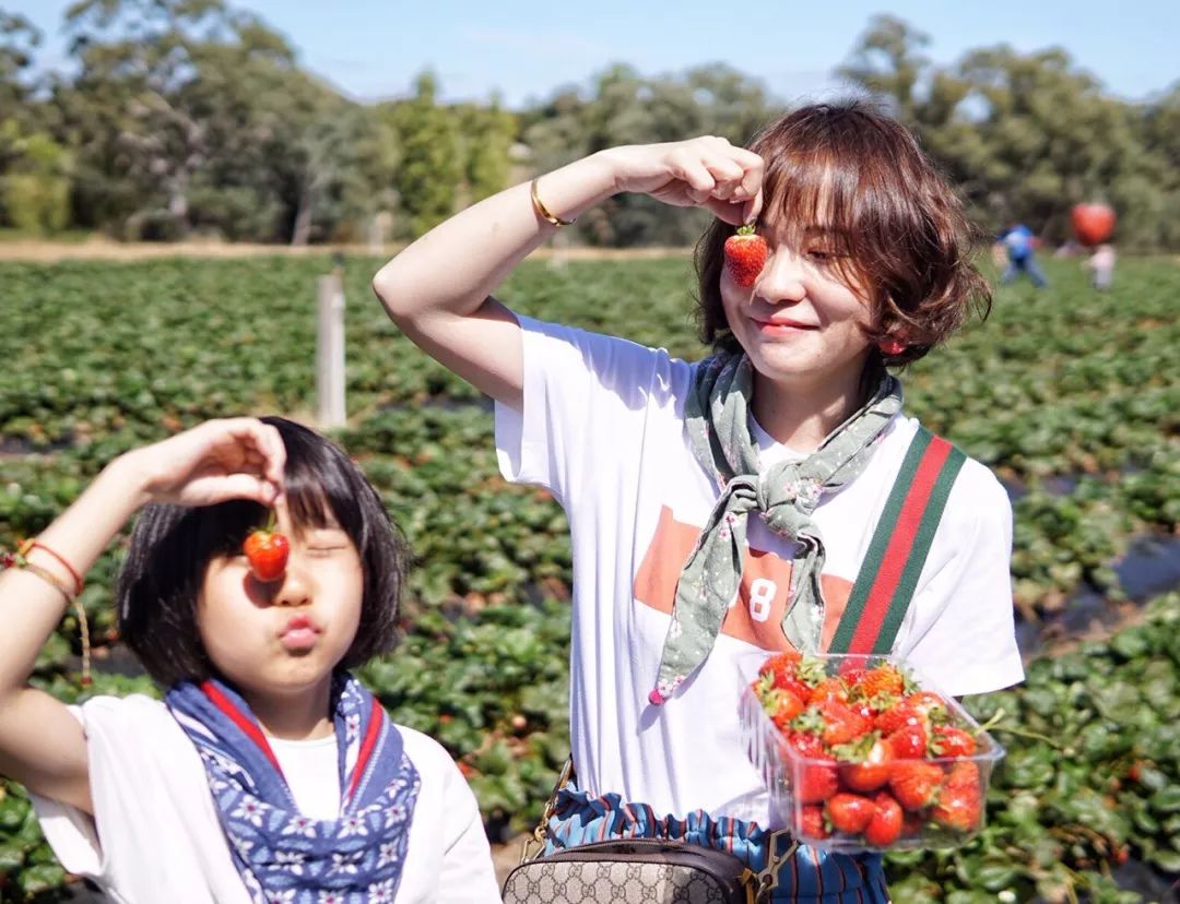 澳洲旅行需要带什么,澳洲旅行买什么保险好