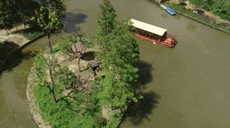 去处｜你真的知道怎么玩转上海野生动物园吗？最全指南在这里！