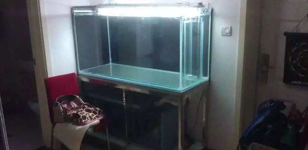 3000块的DIY罗缸，值么？