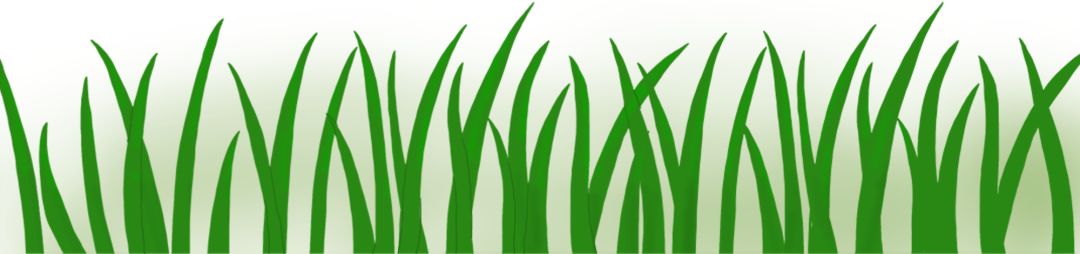 全市足球比赛开赛,上海法院足球比赛