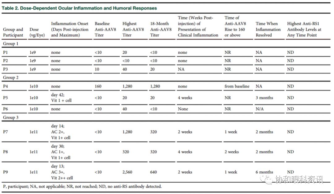 文摘速递丨X-连锁视网膜劈裂基因治疗的I/IIa期临床试验
