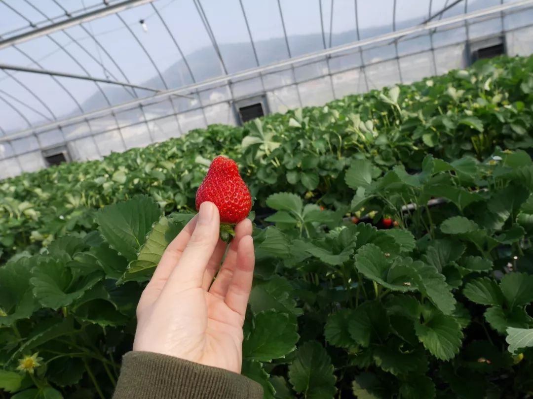 小长假一定要玩得开心,小长假一日游