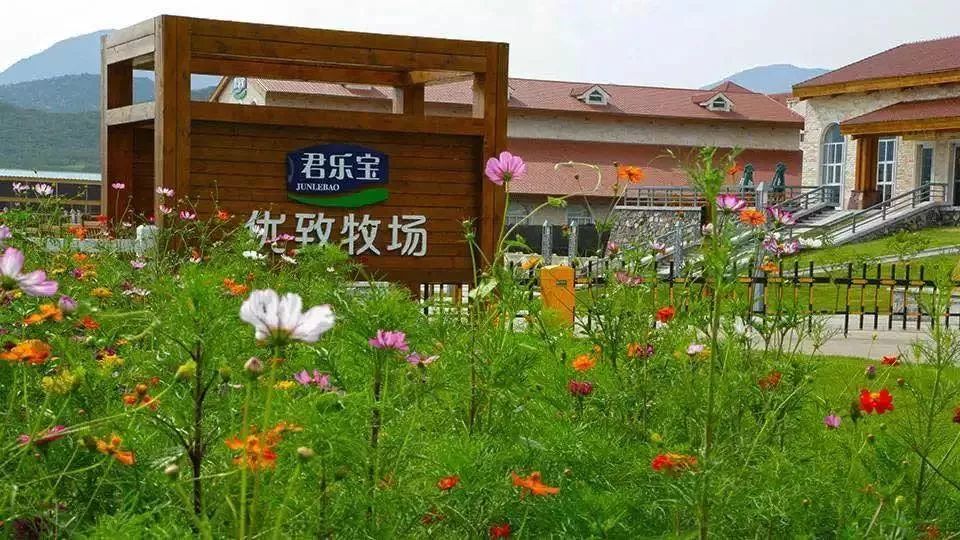 石家庄古镇景点一日游攻略大全,石家庄2022年五一旅游景点推荐