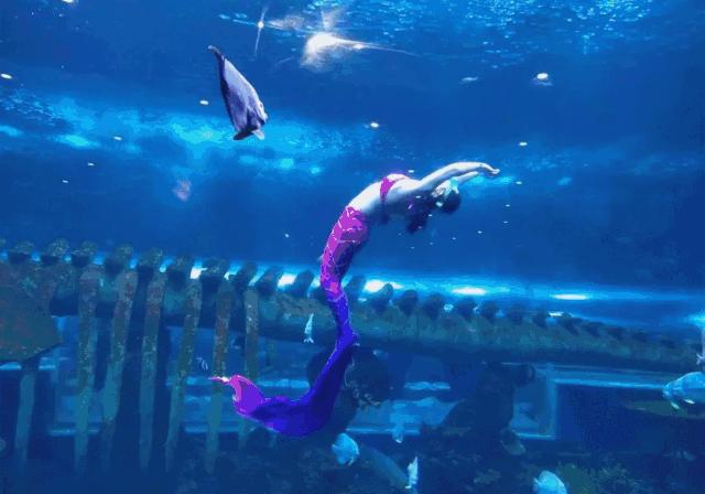 曲江创意谷游玩攻略,深宫曲江海静攻略