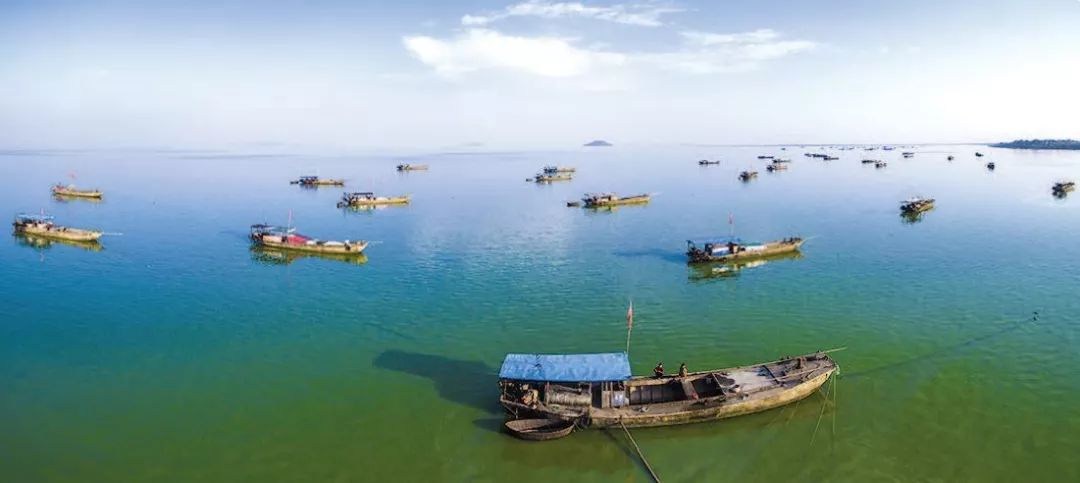 市委书记的文章,市委书记文章