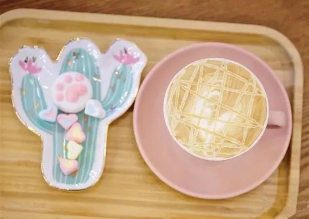 来成都享受美景美食，顺便挼（ruá）个猫可好？