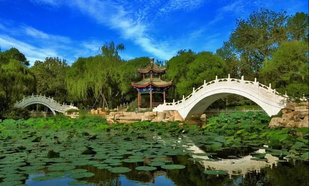 天津免费18个公园,城事天津