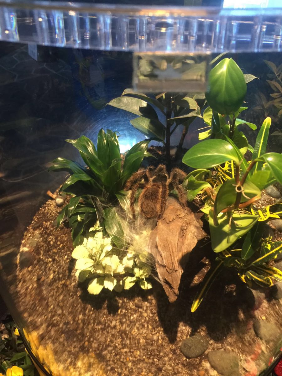 韩国首尔旅游花销,在韩国首尔花销大吗