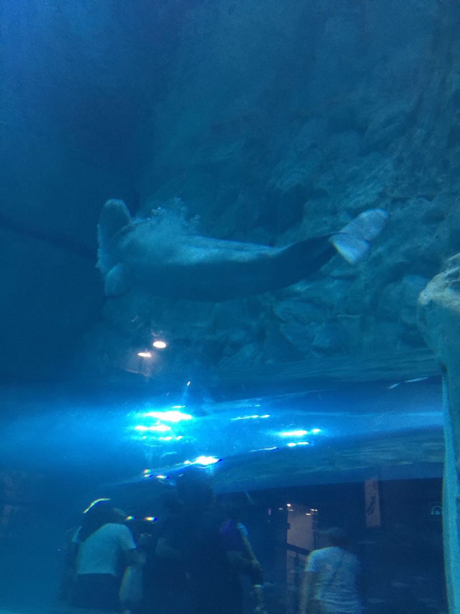 首尔一天三顿饭的花销,首尔自由行花销