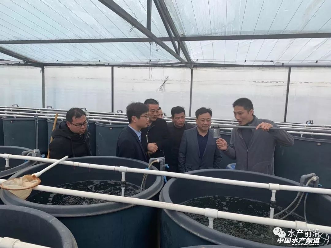 长荡湖大闸蟹养殖,长荡湖一号大闸蟹