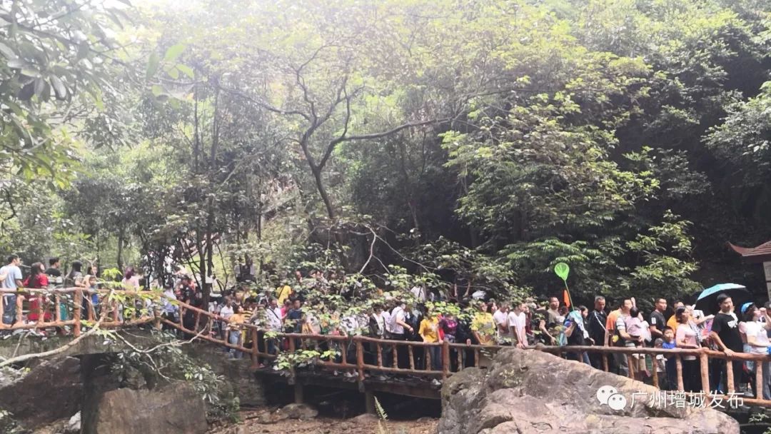 增城最火爆网红景点,增城客流量