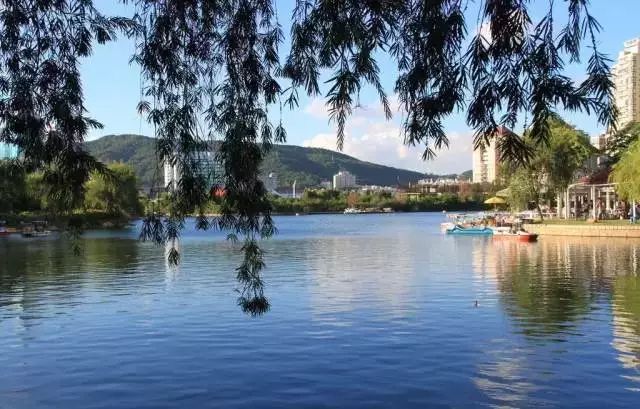 厦门夜景最美公园排名前十的地方,厦门公园美景视频