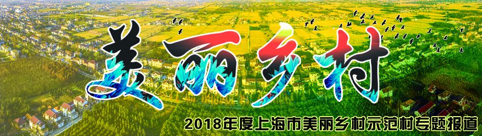 美丽乡村崇明岛,美丽乡村建设崇明