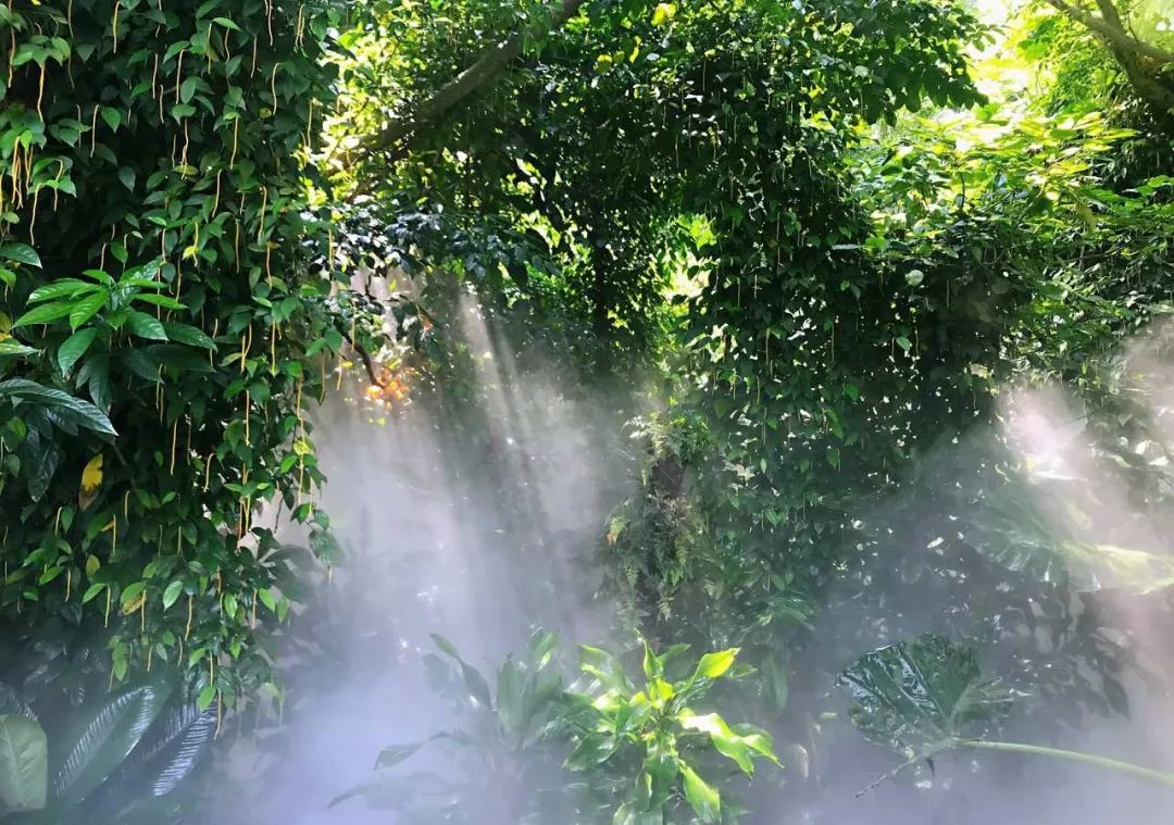 厦门有哪些好玩的地方值得去,厦门有什么好吃的好玩的地方