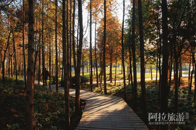 宁波室外十大网红游乐项目,宁波休闲打卡地