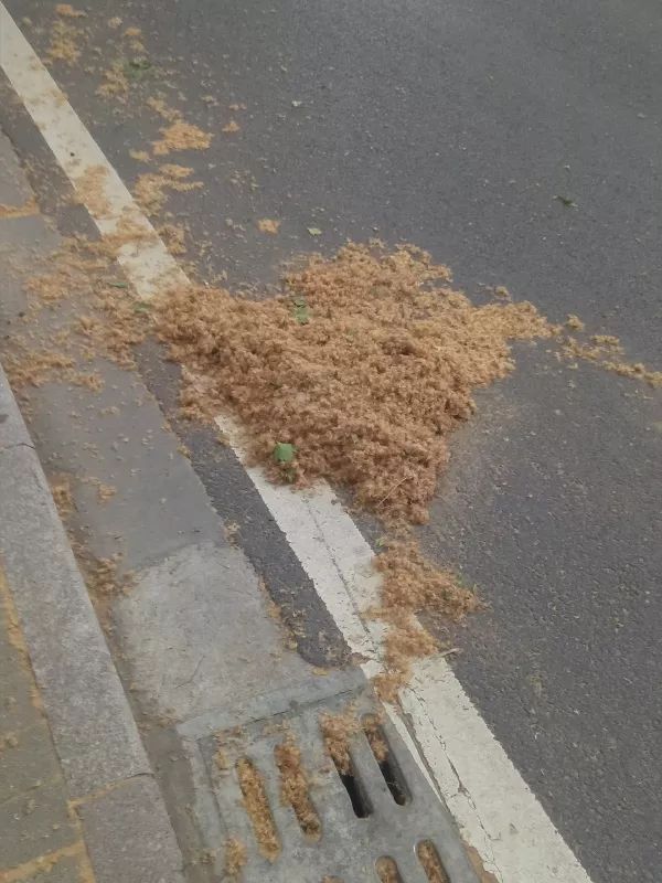 最近过半中国人都在噗噗噗呸呸，一开门，心里飘过一万头羊驼…