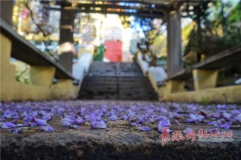 闈掑矝缁濈編鐎戝竷,闈掑矝绱壊鐎戝竷