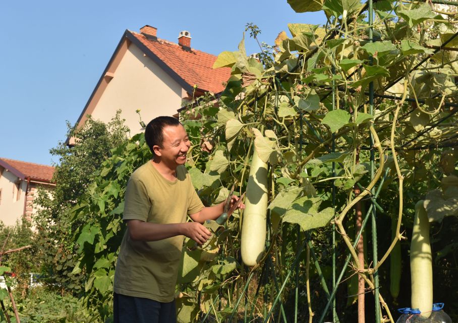 被派往塞尔维亚的9个中国人,干了件惊动世界的大事!