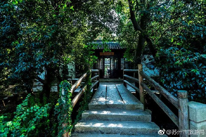 东山枇杷价格最新行情,东山枇杷今日价格