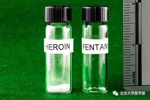 禁毒的危害知识摘抄,禁毒知识毒品的危害文字