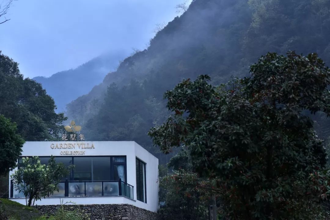 不必去芬兰了，杭州高铁1h就藏着一万颗星星的玻璃屋，过2天山野生活正好！