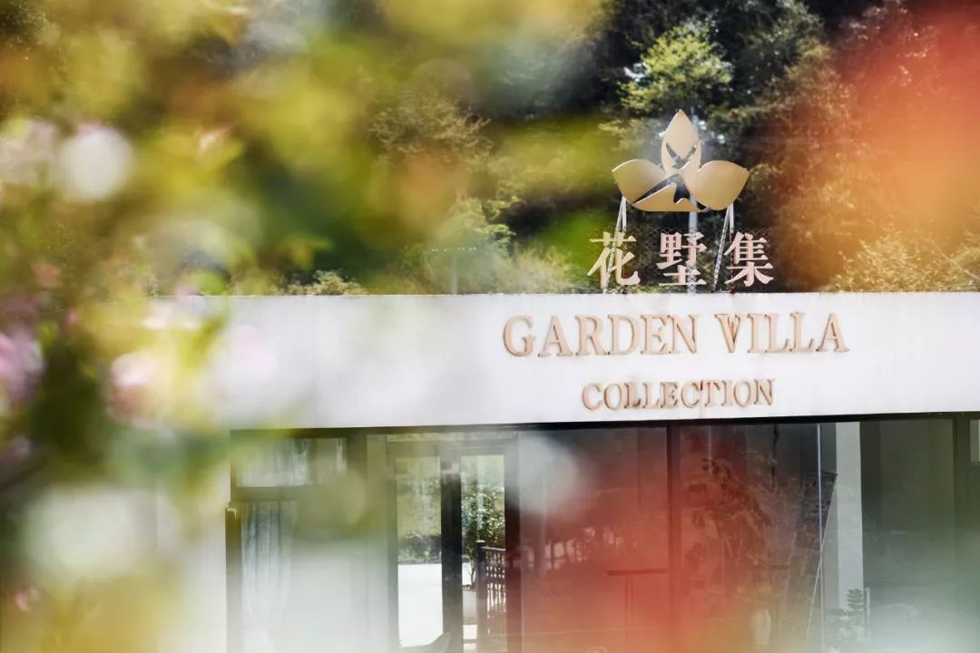 不必去芬兰了，杭州高铁1h就藏着一万颗星星的玻璃屋，过2天山野生活正好！