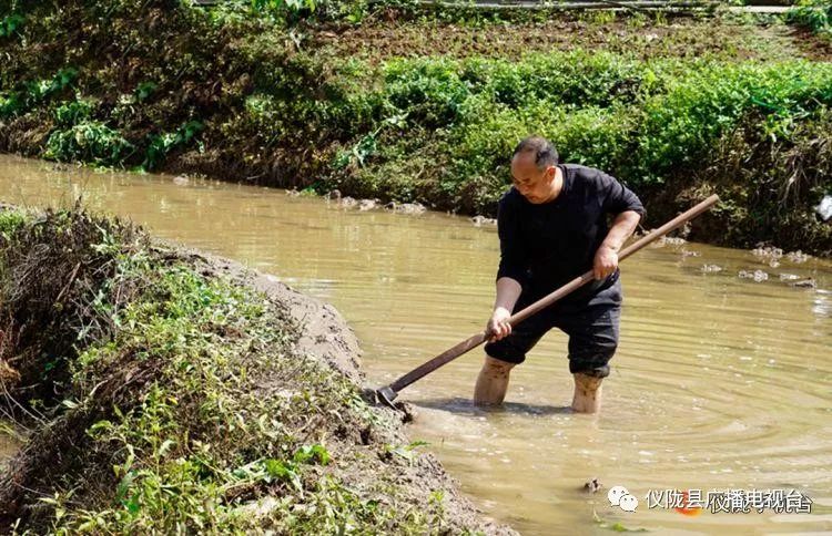 插秧感人的经历,插秧是一年中最重要的事儿