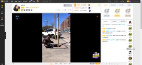 在哪里可以看龙珠直播平台,龙珠直播ios怎么下