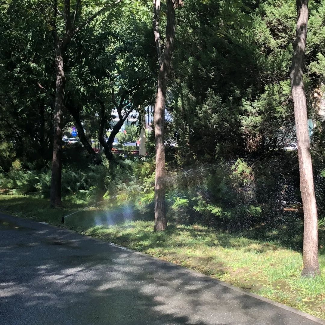 开发区的美,开发区最美风景