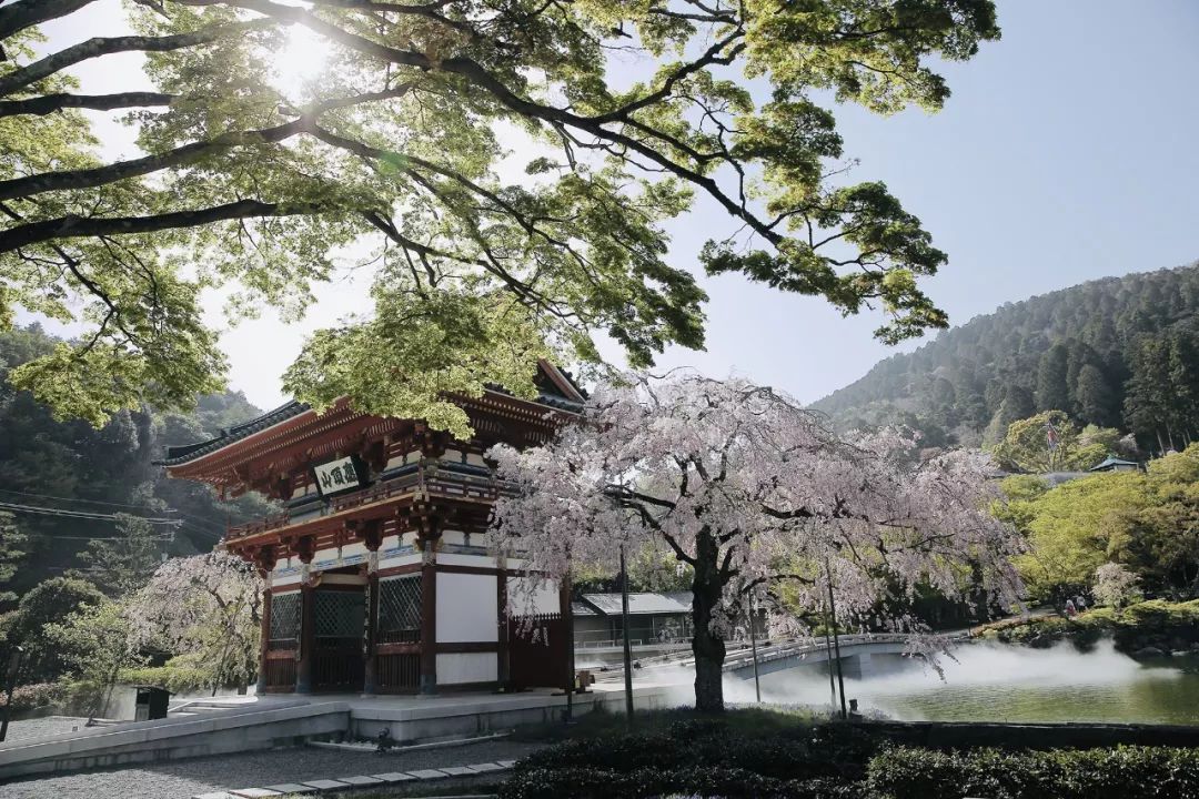 大阪｜你错过了这座带仙气儿的寺庙，以及跳蚤市场和潮牌一条街…