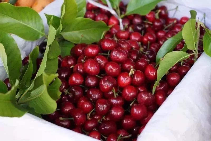 西昌时令水果,缤纷水果季献给爱吃水果的你