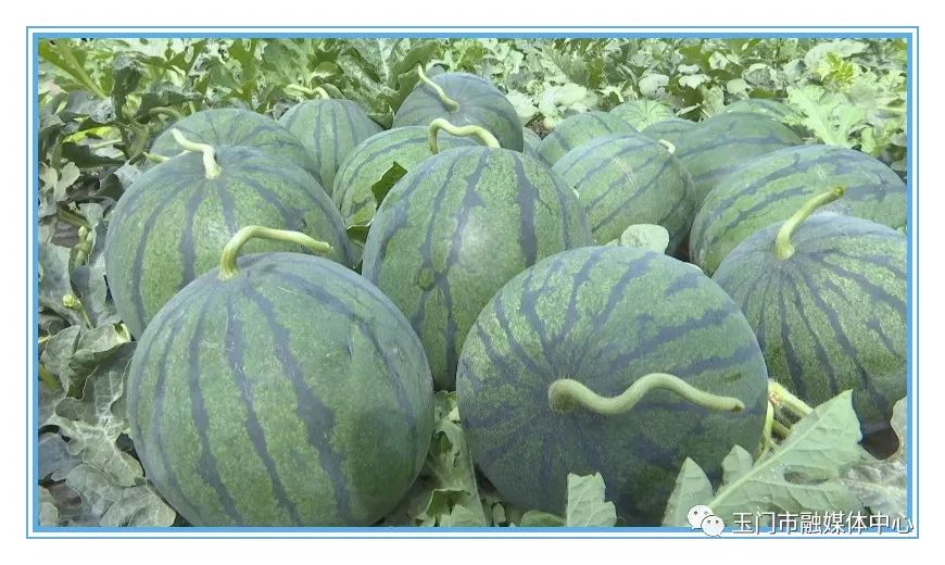 澹附70骞村鏂楁柊鏃朵唬瀹佸鍥哄師,澹附70骞村鏂楁柊鏃朵唬鍙戝睍缁艰堪