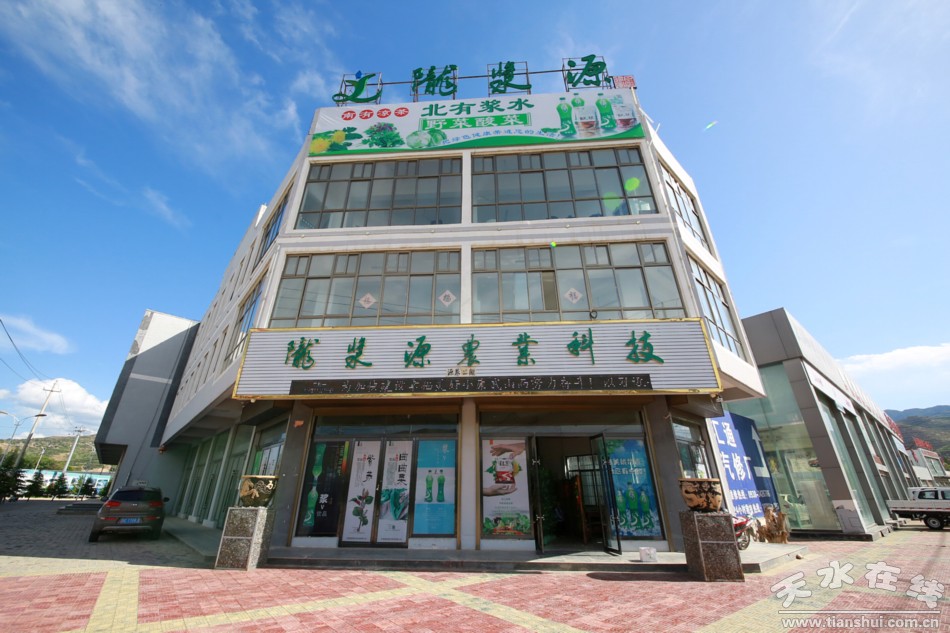 甘肃武山苦苣酸菜浆水出售,武山酸菜销售