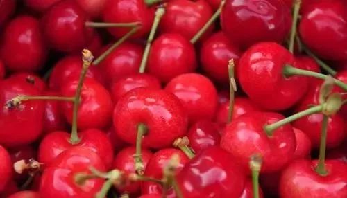 陕西的樱桃好吃,陕西大樱桃酸甜可口