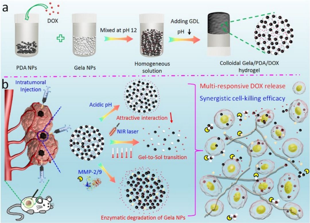 水凝胶技术治疗癌症,新型水凝胶治癌细胞