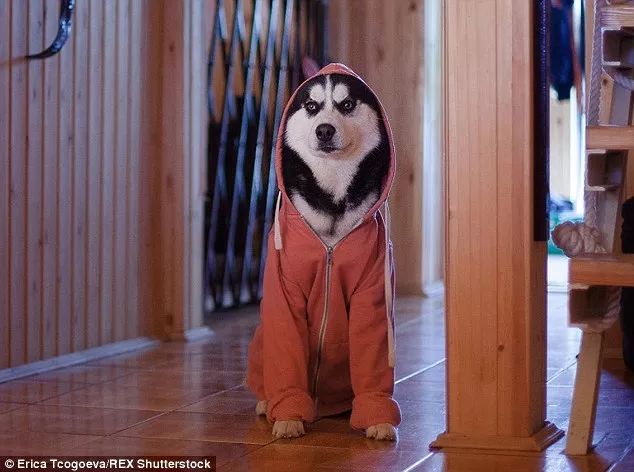 朋友圈设成三天可见代表着什么,有时候把朋友圈设成三天可见