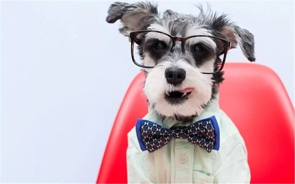 把我设置成不可见了是什么心态,为什么有人把朋友圈设成三天可见