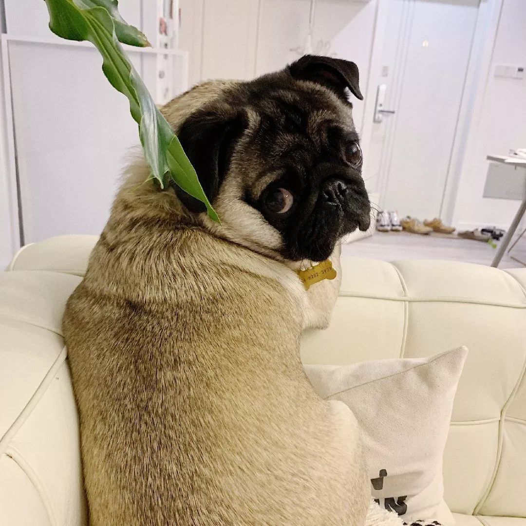 朋友圈设成三天可见代表着什么,有时候把朋友圈设成三天可见