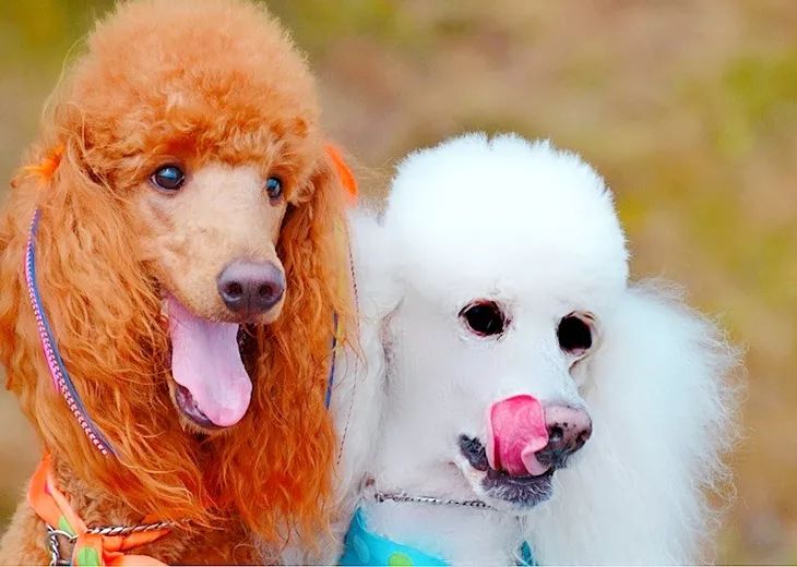 朋友圈设成三天可见代表着什么,有时候把朋友圈设成三天可见