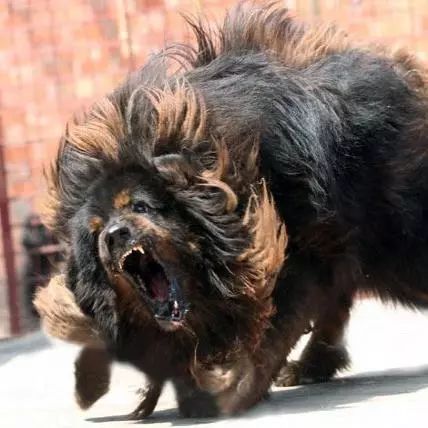 朋友圈设成三天可见代表着什么,有时候把朋友圈设成三天可见