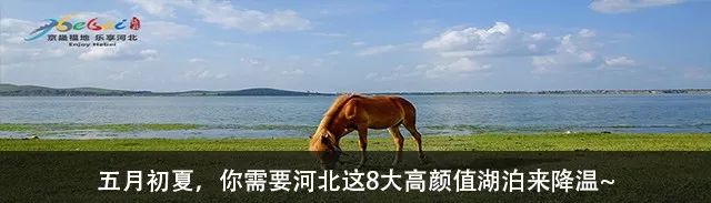 20个小众旅游城市河北沧州,漫游燕赵公园