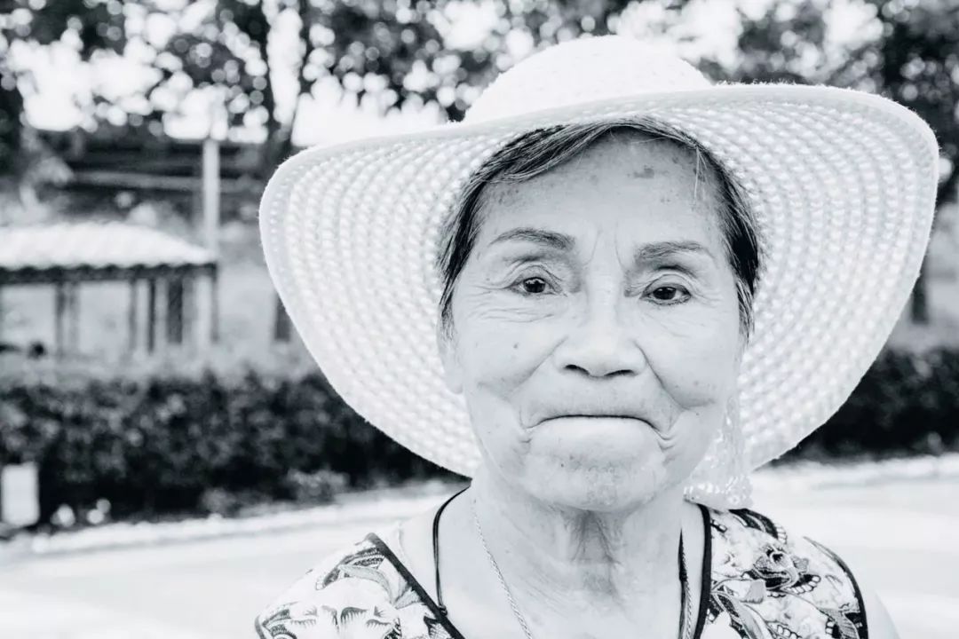 龙应台的小说目送全文,龙应台生平故事