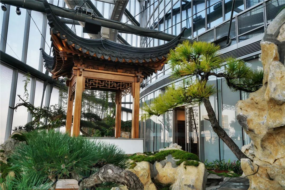 上海最高楼云端上的风景,在上海最高的楼俯瞰风景