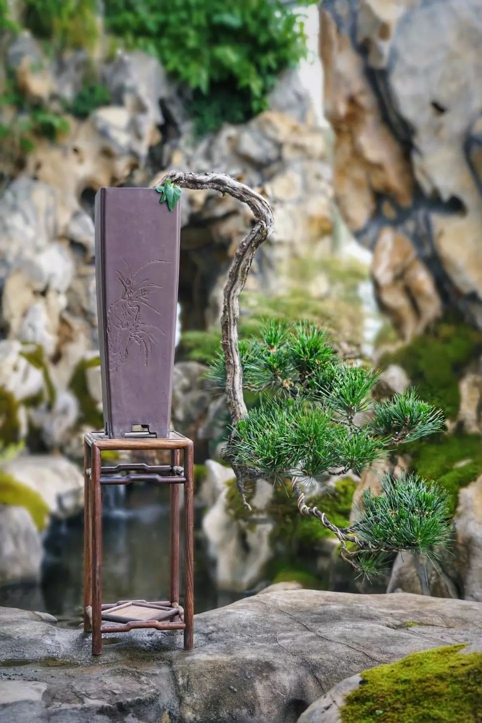 上海最高楼云端上的风景,在上海最高的楼俯瞰风景