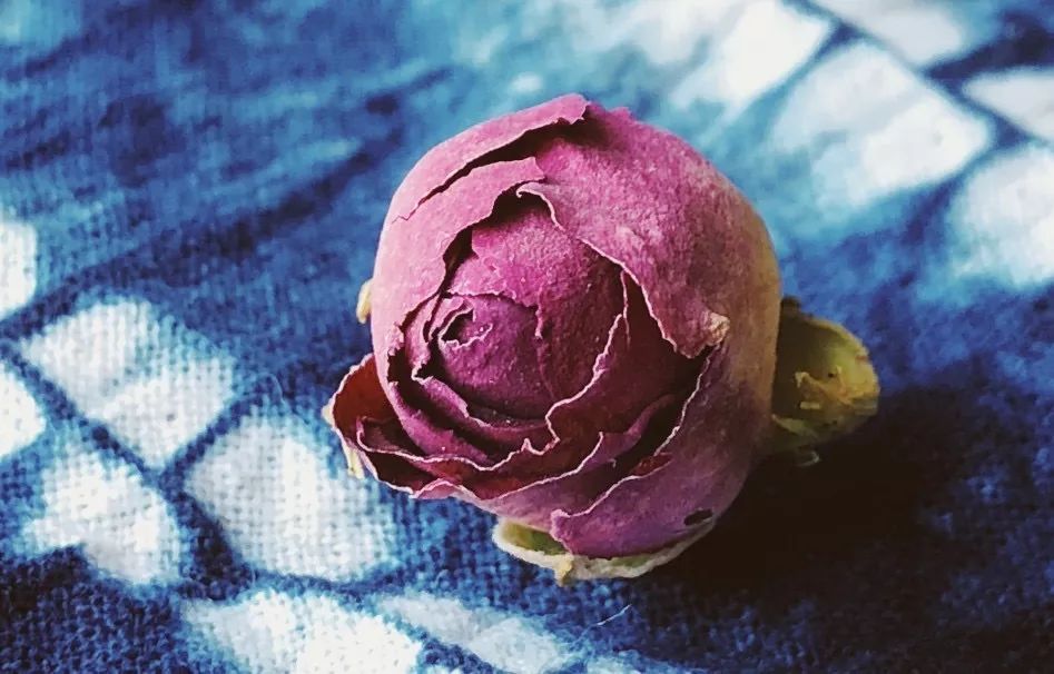 五月芬芳之旅，与你相约海安大马士革*瑰园玫**