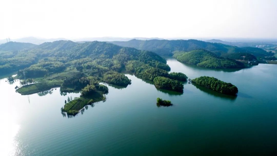 徽姑娘农家乐视频,徽姑娘农家乐祁门