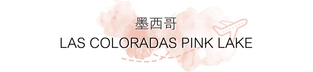 520去哪比较浪漫,520发愁送啥