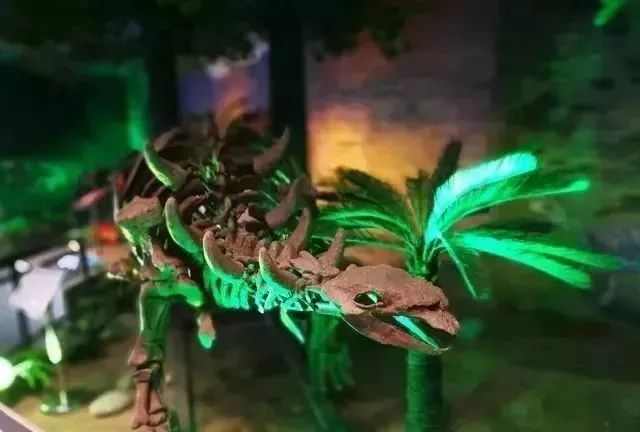 本周末，主播秋雨、大雄带你畅游王屋山、五龙口，只剩10个自驾名额，欲报从速！