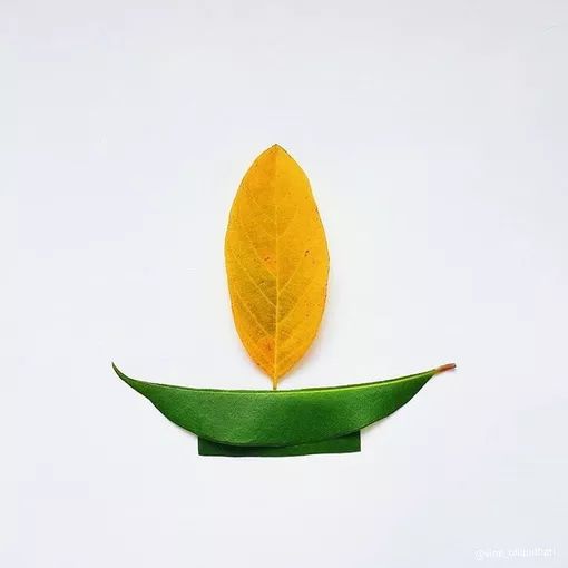 15种高情商的表现,高情商的七个迹象