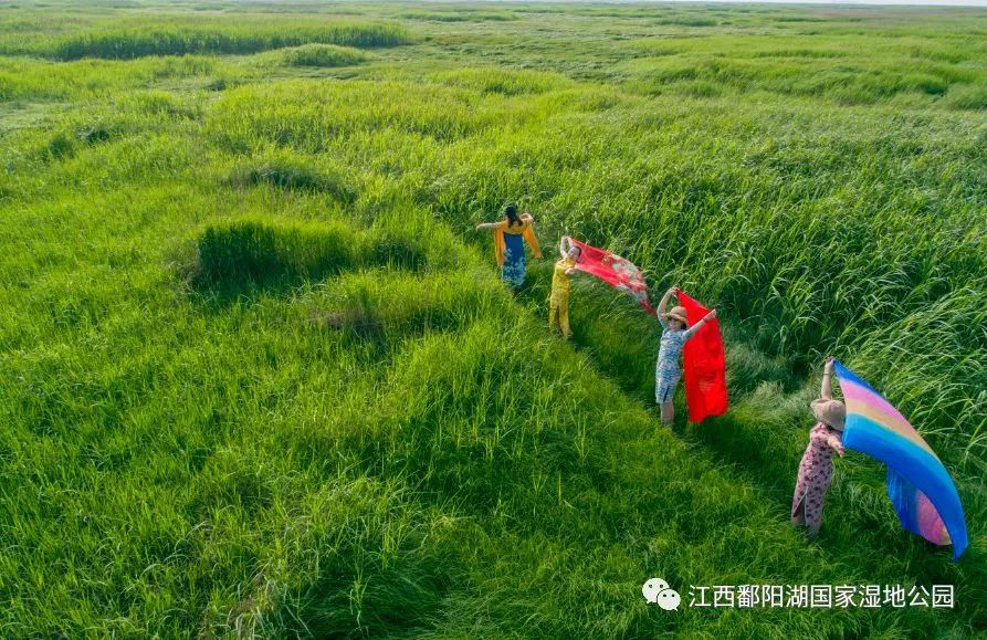 5.19中国旅游日哪些景点半价,519旅游日河北免门票